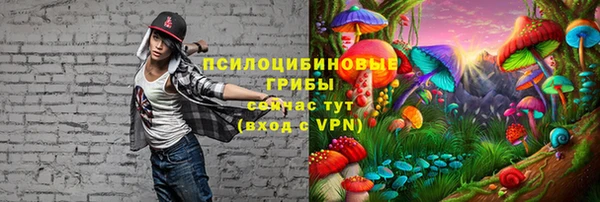 гидропоника Заволжск