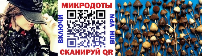 Псилоцибиновые грибы Cubensis  hydra ONION  маркетплейс официальный сайт  Мариинский Посад 